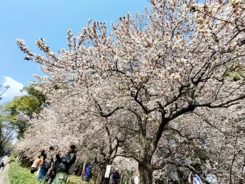 OsakaMetro中央線の森ノ宮駅出てすぐです