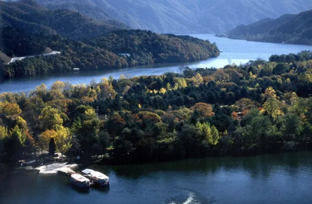 국내 여행지 추천 남이섬