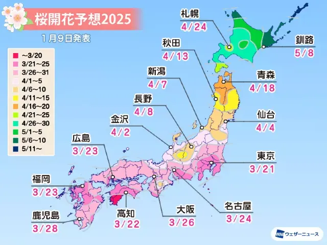 櫻花開花預測