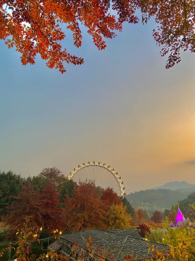 가을 여행 용인 가볼만한 곳