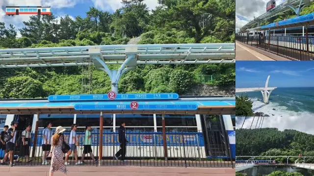 海月瞭望台站 [海岸列車]