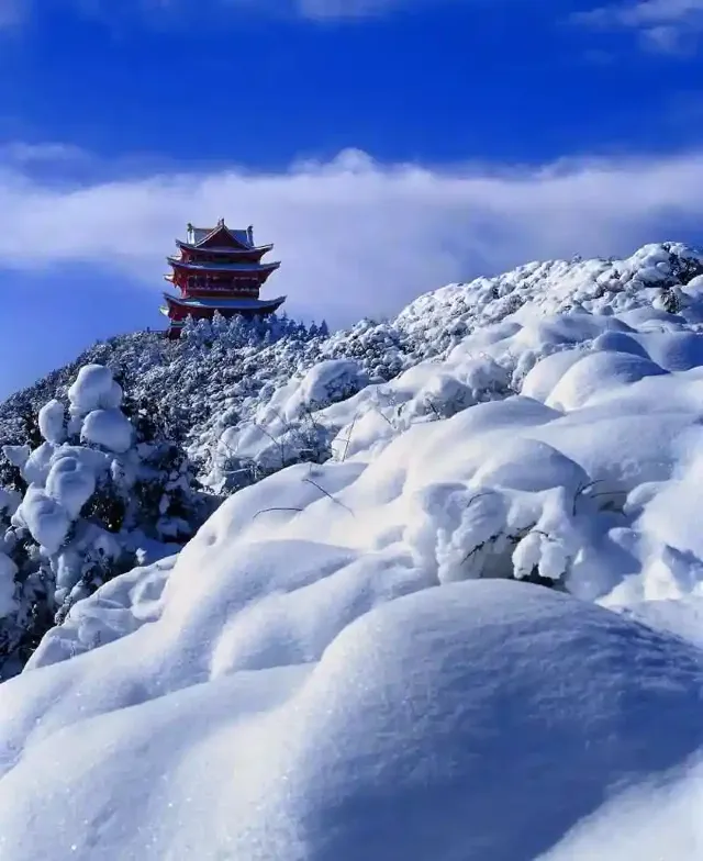 常寂光寺