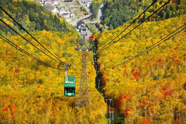 大雪山 日本紅葉2025