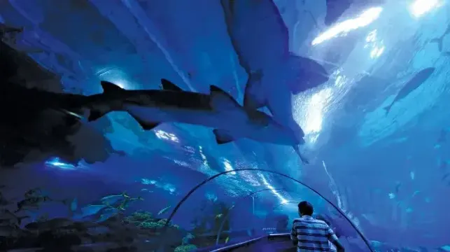 クアラルン水族館