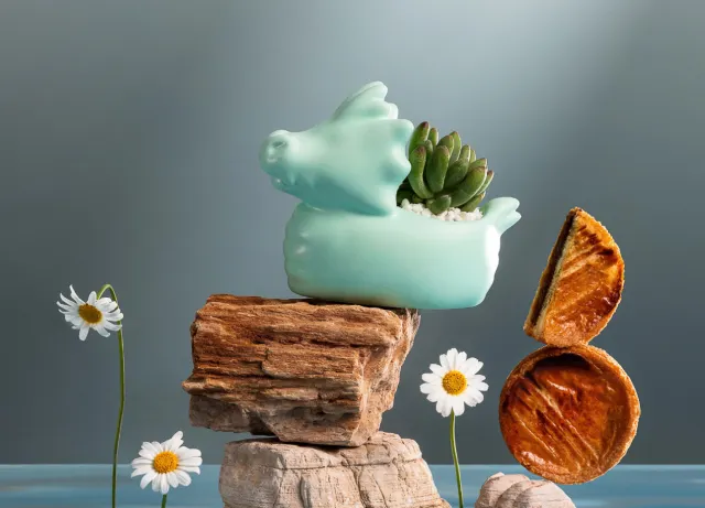 綠舟金運端午雙享植品禮盒