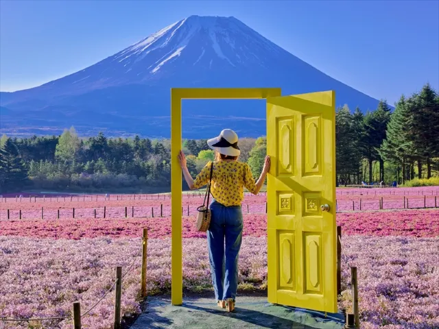 「幸せの黄色い扉」