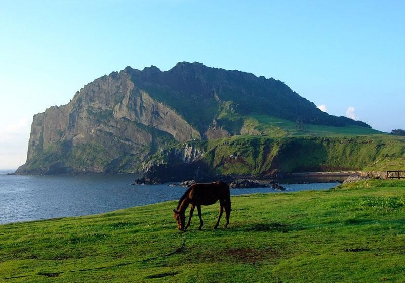 제주도 가볼만한 곳 총정리: 제주 동쪽·남쪽·서쪽까지 가봐야 할 명소 추천