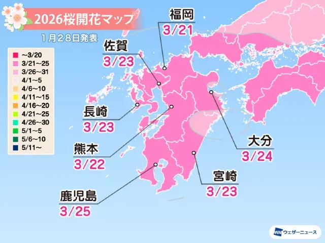 櫻花開放花期預測