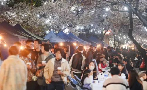 솔올블라썸