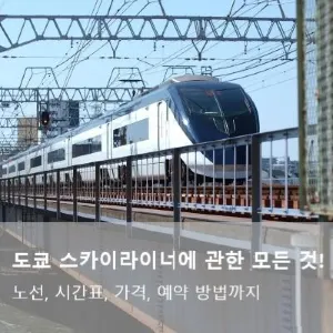 도쿄 스카이라이너 3%할인 예약! 노선, 시간표, 가격, 예매법 등 총정리