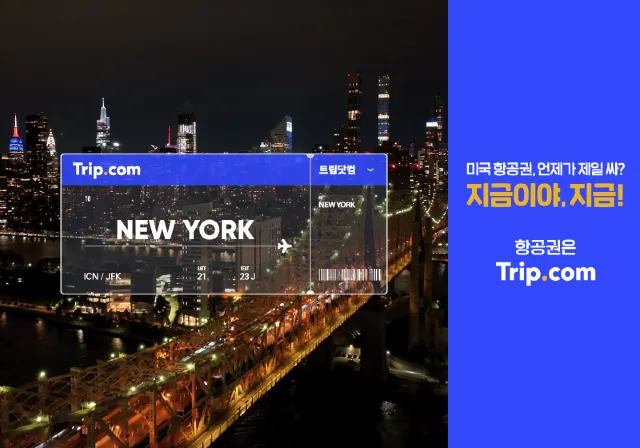 지금이야 지금 뉴욕편