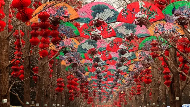 베이징 여행 준비물