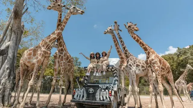 カンチャナブリ クワイ川サファリ