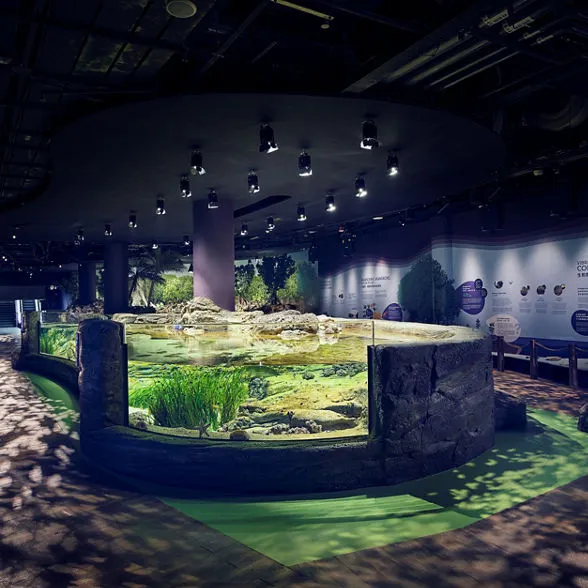 新加坡海洋生態館