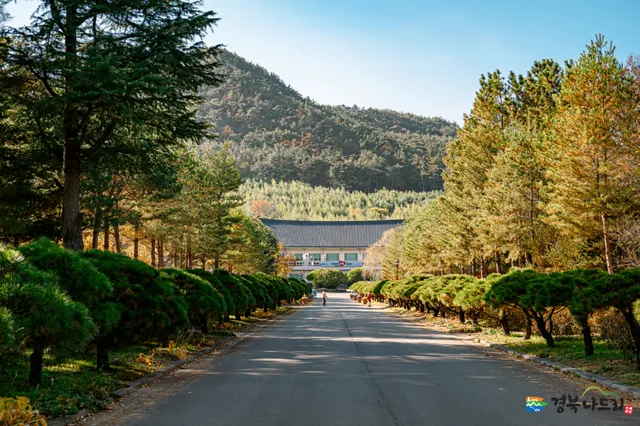 한국 여행지 추천 경주 경상북도산림환경연구원