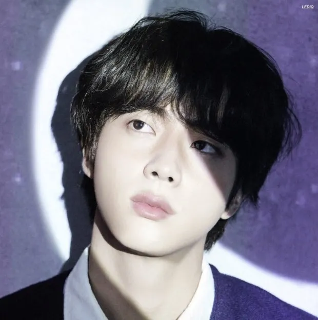 bts 진 콘서트