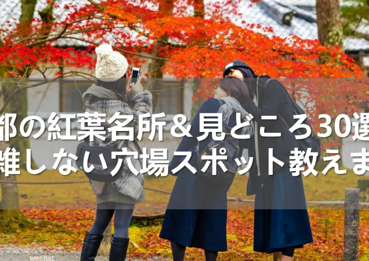 【京都で人気の紅葉】見どころ・ライトアップ・混雑回避・穴場・名所30選を網羅!東福寺・清水寺・永観堂・嵐山・貴船神社の紅葉完全ガイド