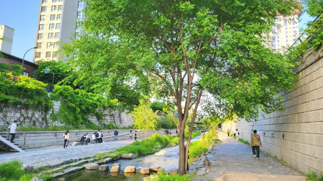 빼빼로 데이 데이트 청계광장