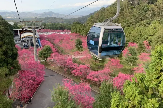 九族文化村空中纜車