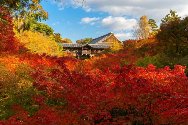 東福寺