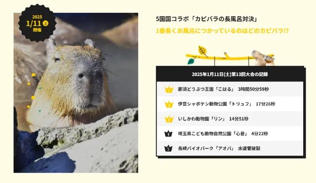 伊豆カピバラ温泉2025