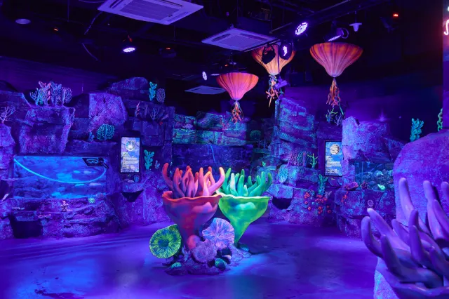 부산 가볼 만한 곳, 부산 놀거리, 씨라이프 부산 아쿠아리움