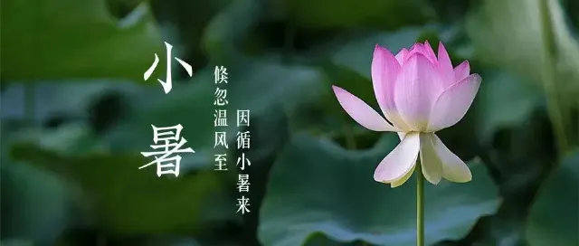 香港小暑