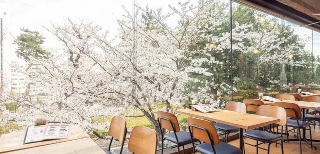 アロハテーブル 飯田橋