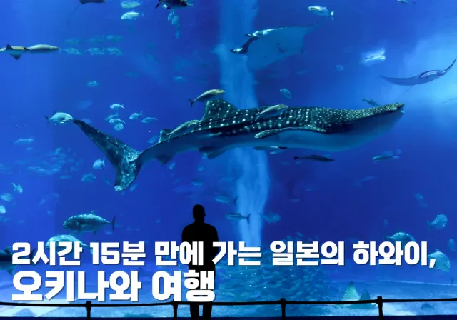오키나와 여행
