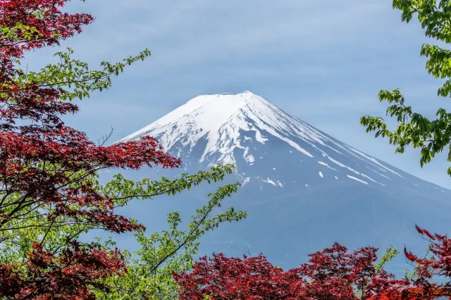 日本電話卡推介日本富士山