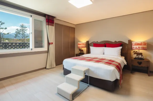 강원도 애견호텔