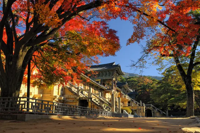 가을 여행 경주