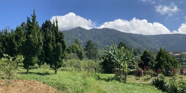 taman nasional gunung halimun photo