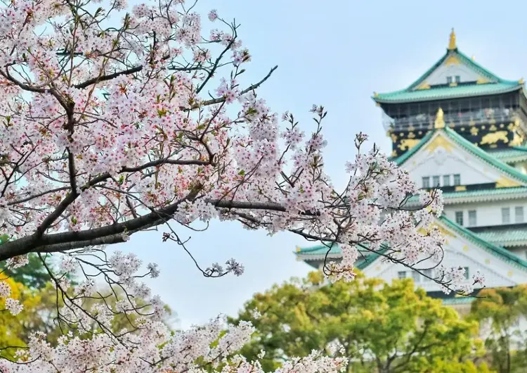 10大日本電話卡推介| eSIM、無限數據、上網卡、數據卡價錢日數比較