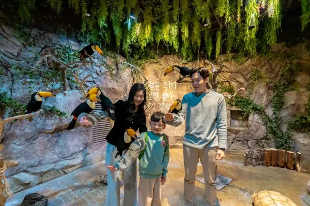 Zoolung Zoolung 動物園