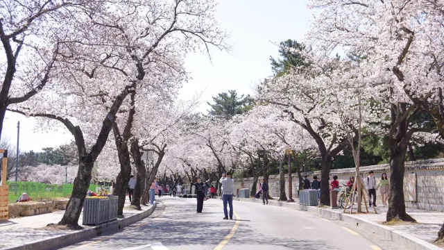 국내 여행지 추천, 경주