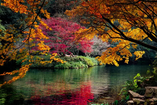 Hangzhou China Nine Creeks in the Misty Forest Paths