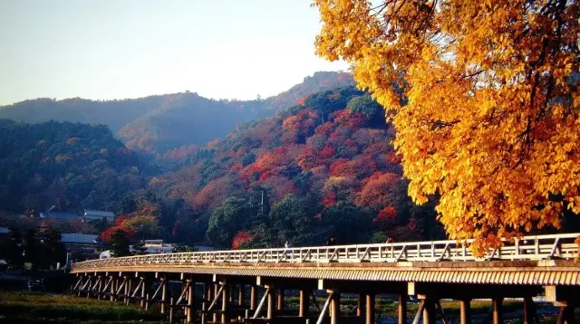 渡月橋