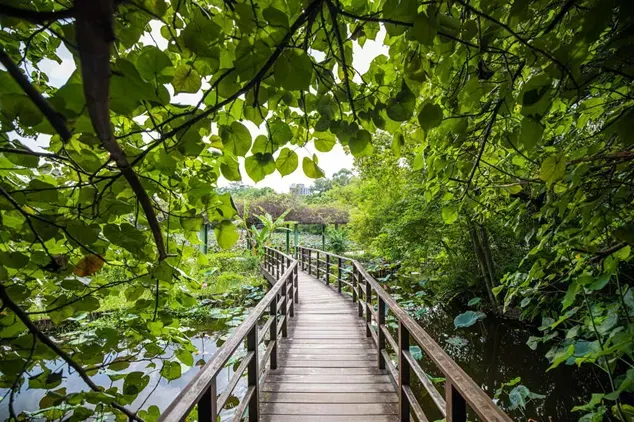 台北植物園