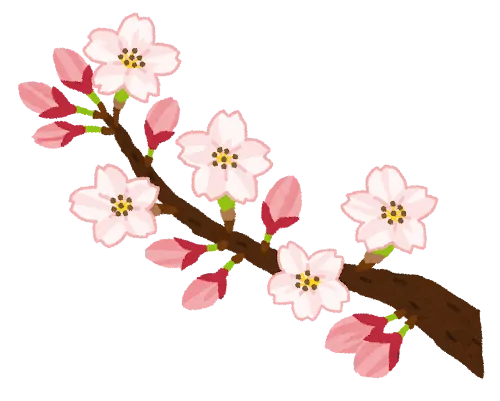 桜