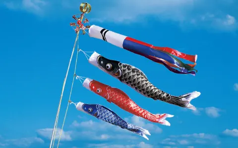鯉のぼり