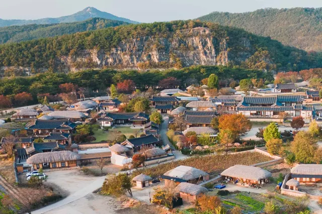 차 없이 당일치기 여행 안동