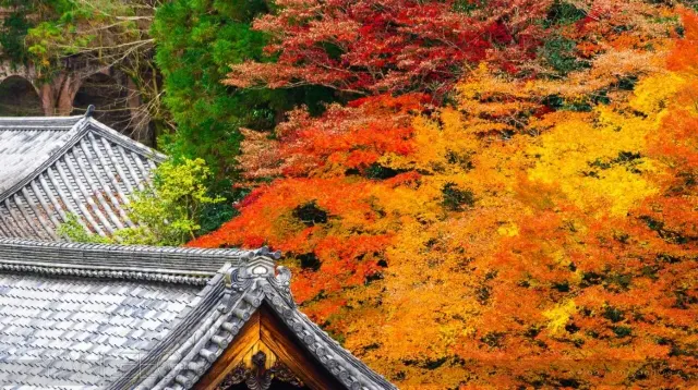 南禅寺