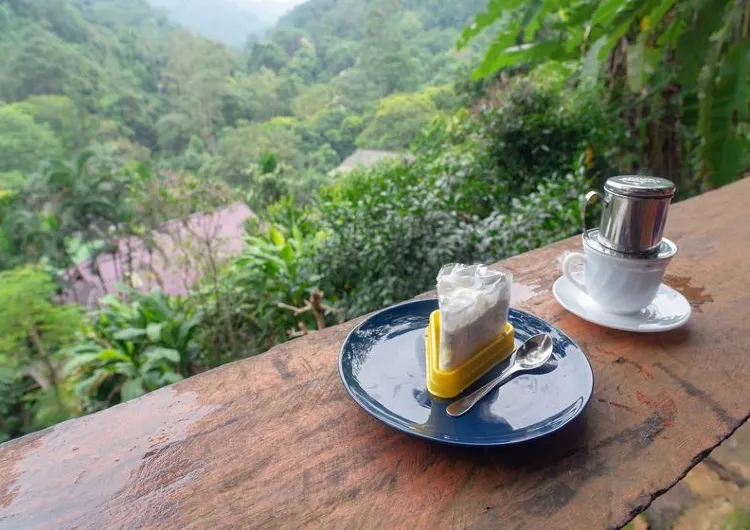 รวม คาเฟ่แนะนำนครปฐม 2569  ที่สายคาเฟ่ สายทำคอนเทนต์ อัปลงโซเชียลห้ามพลาด! 