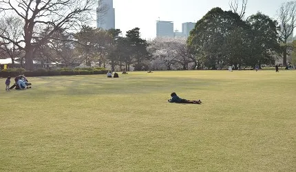 経済的で実用的な楽しみ