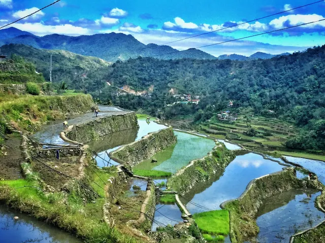 Рисовые террасы Банауэ