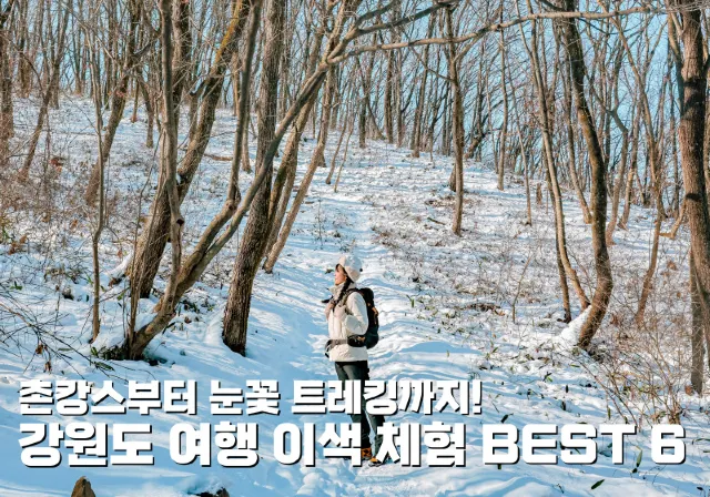 강원도 여행 이색 체험 BEST 6
