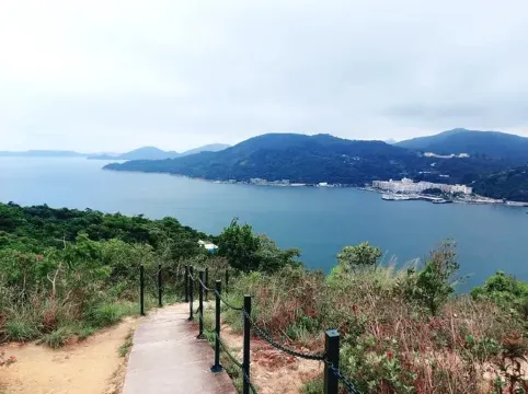 【ディスカバリー・ベイ（愉景灣）おすすめスポット2025】11のおすすめグルメ・おすすめショッピング・おすすめスポット、ディスカバリー・ベイ日帰り旅行ガイド