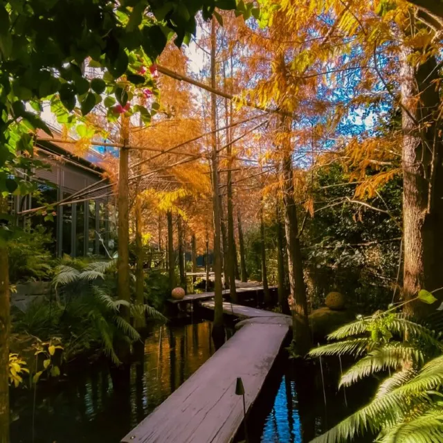 享自在生態園區