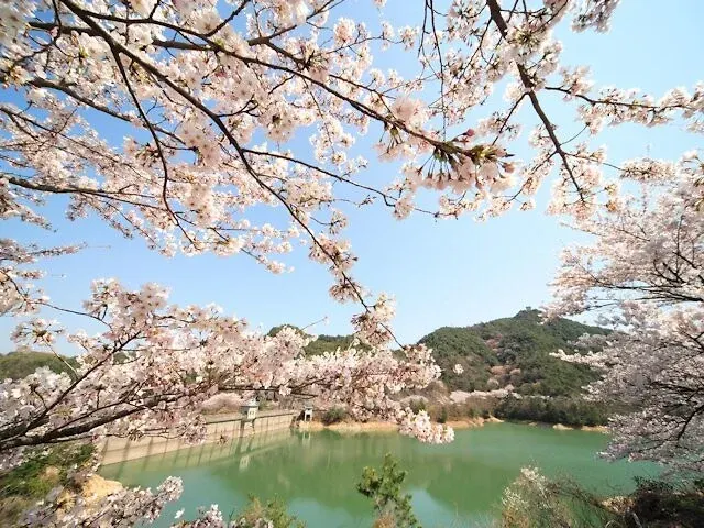 永楽ダム・永楽ダム